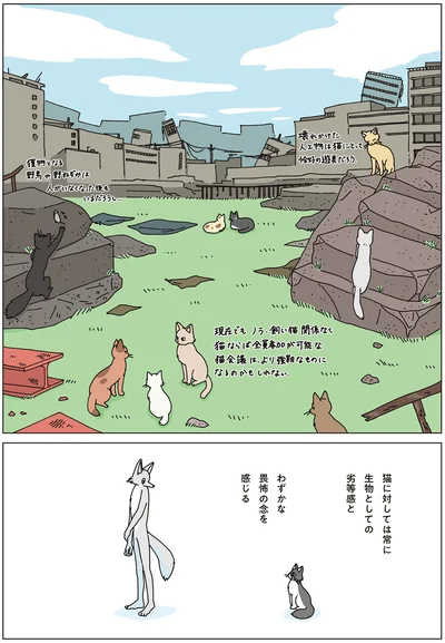 猫に対してわずかな畏怖の念を感じる