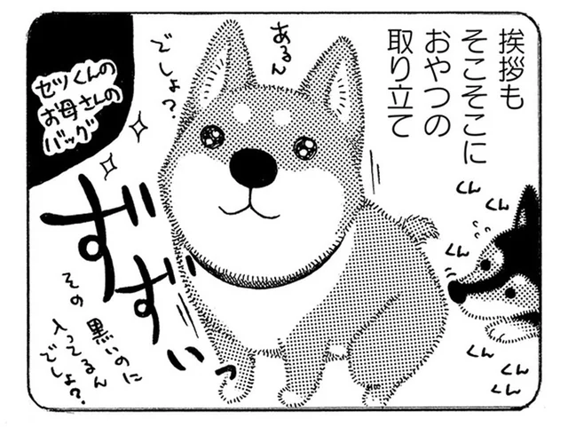 おやつをくれる人がわかってる!? お散歩中に愛犬が仰天行動