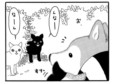 お散歩中の社交術がアップ！ 年を重ねて他の動物との付き合い方が変わった？