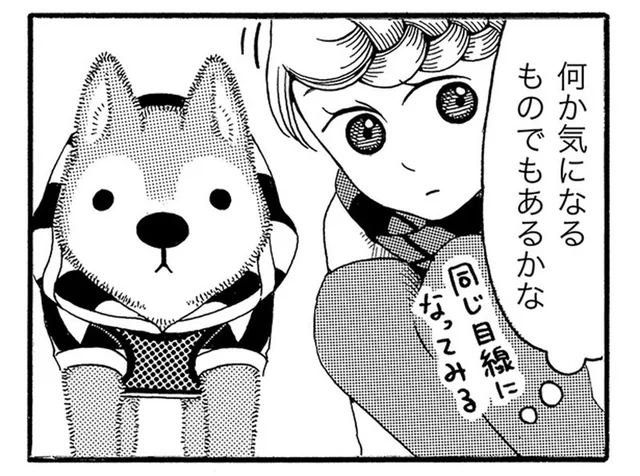 突然止まって何かを見ている？ お散歩中の老犬のナゾ行動