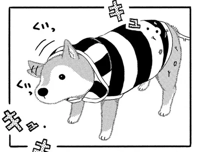 老犬の体に大量のひっつき虫が！ 「しばドリル」を促してみたら