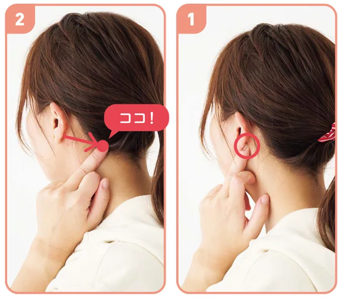 耳の後ろのへこみから真横にいった生え際