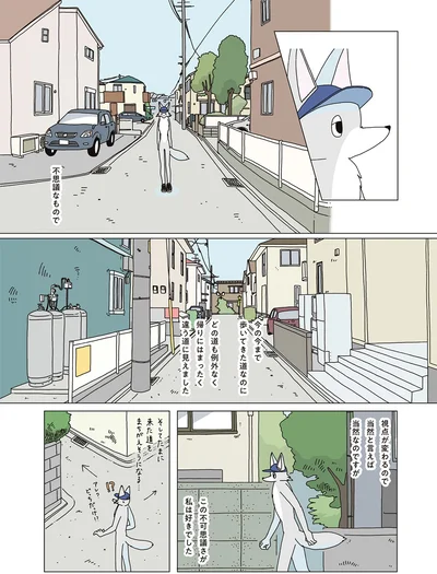 この不可思議さが私は好きでした