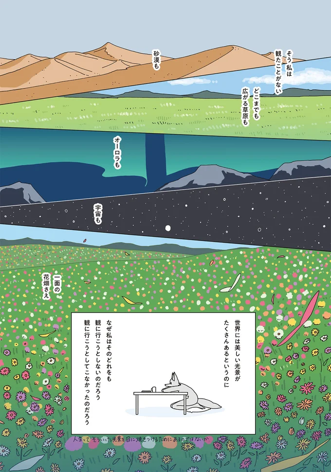 世界には美しい光景がたくさんあるというのに