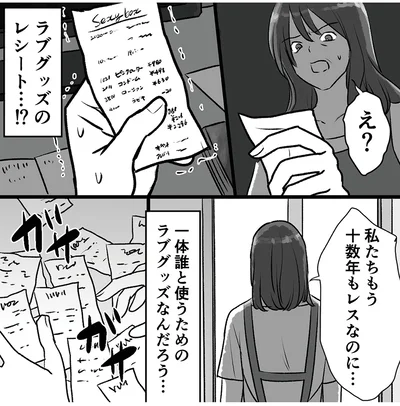 私たちもう十数年もレスなのに…