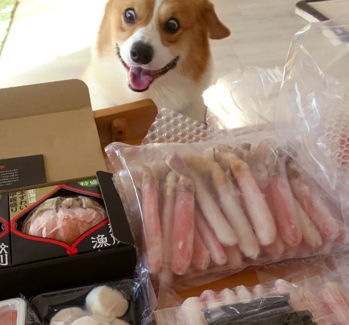 目が期待でキラキラしています！▶こんな食べ物にもワクワク♪（⇒次へ）