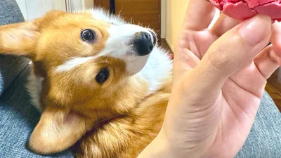 「すごい角度で見つめられてる」▶次は…え？足を組んでる⁉︎（⇒次へ）