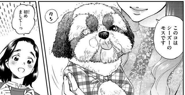 「このコはシーズーのモスです」家を空ける依頼人に代わり、おじいちゃん犬を見守ることに／ランチ酒1（6）