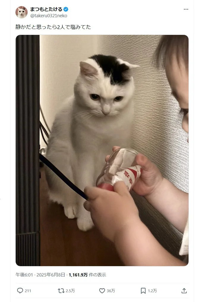 静かな2人がじっと見ていたものは、まさかの！？（⇒次へ）