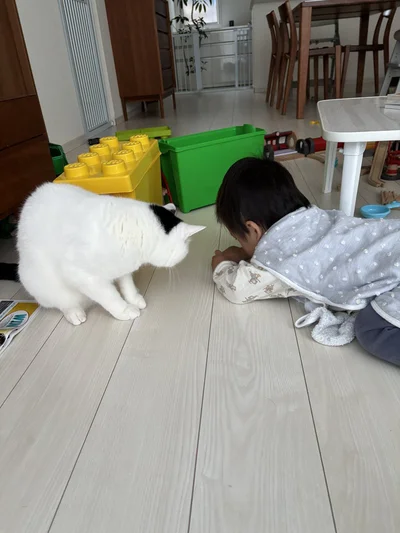 いつも、起きたらすぐ一緒に遊んでいるそうです。次男くん、たけるくんに目線を合わせているのでしょうか？（⇒次へ）