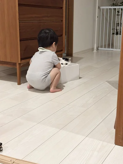 みんな仲良しですが、次男くんは特にいつもたけるくんと一緒に遊んでいるそうです。▶︎優しさがあふれてる！深夜のたけるくん（⇒次へ）