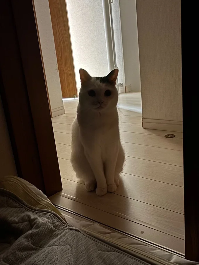 兄弟が夜泣きすると心配して来てくれるたけるくん。優しすぎる……！▶︎実際の投稿はこちら（⇒次へ）