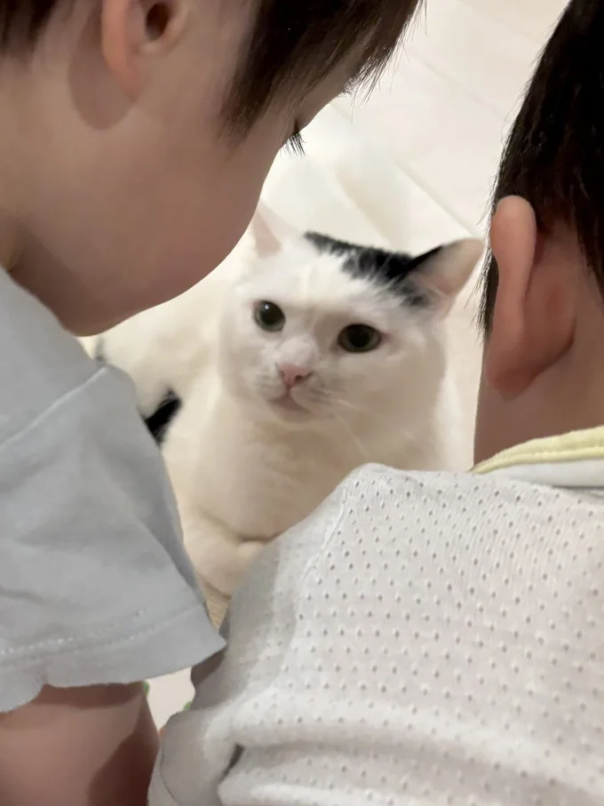 2人の弟のことを、いつも優しいまなざしで見守っています。（⇒次画像から幼児と猫たちに囲まれたドタバタな日々を綴った『マジレス幼児とモンペ猫　口達者な娘と過保護すぎる猫たちとの日常』が読めます）