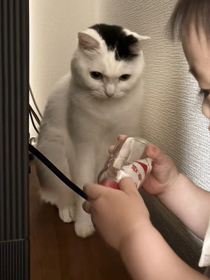 いたって普通の「塩」でした！真剣に見つめる2人に、思わず笑っちゃいますね！▶︎次はお顔をむぎゅっとされちゃったたけるくん！（⇒次へ）