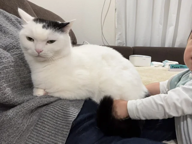 静かだと思ったら…！？　36万いいねを獲得した1人と1匹の密談が可愛すぎ！