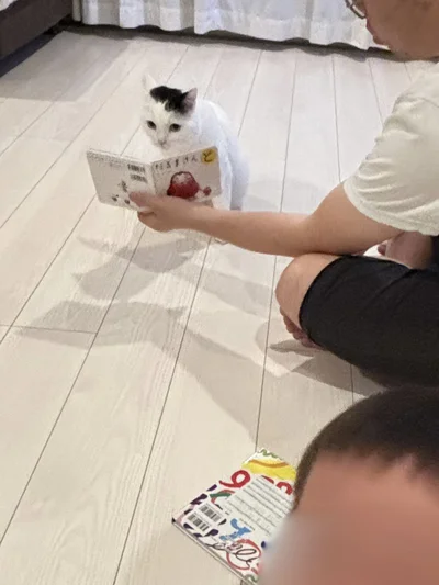 お子さんがじゃなくてたけるくんが聞いている！読み聞かせにも大人しく応じるたけるくん、優しい！▶︎次は猫の挨拶ができるようになった息子くん（⇒次へ）