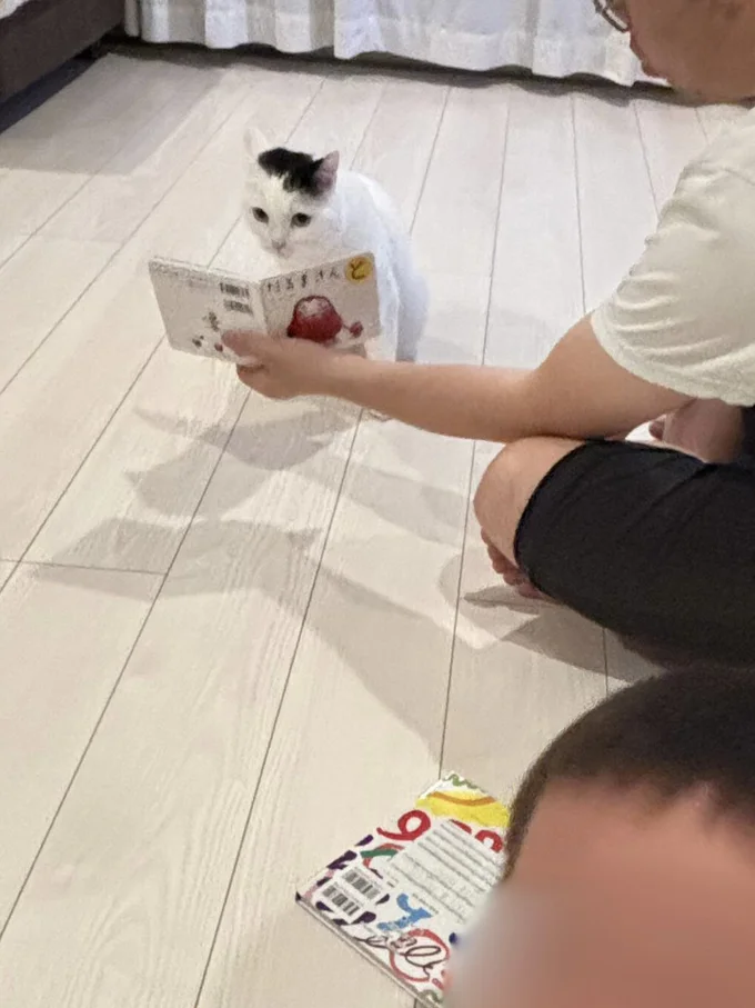 お子さんがじゃなくてたけるくんが聞いている！読み聞かせにも大人しく応じるたけるくん、優しい！▶︎次は猫の挨拶ができるようになった息子くん（⇒次へ）