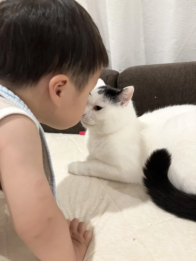 じっと見つめ合う1人と1匹。仲良しな様子が伝わってきます！▶︎そしてなにかが始まる予感！？（⇒次へ）