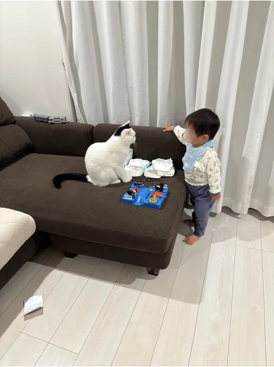 なにやらこっそり相談している次男くんとたけるくん▶︎2人と1匹は〇〇で遊ぶのに夢中！（⇒次へ）