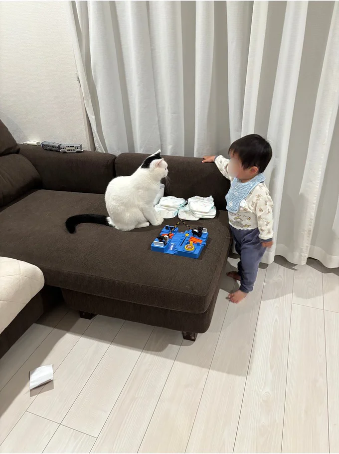 なにやらこっそり相談している次男くんとたけるくん▶︎2人と1匹は〇〇で遊ぶのに夢中！（⇒次へ）