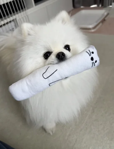 お気に入りのパンはただいま洗濯中。変わりにオコジョを見せてくれたおもちちゃん▶次に見せてくれたものは…（⇒次へ）
