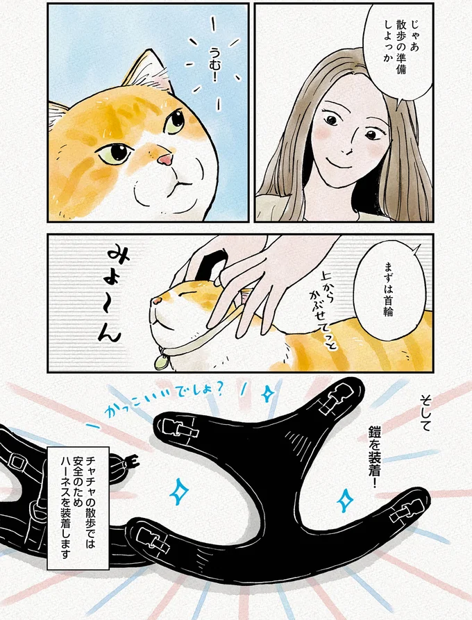 そして鎧を装着！