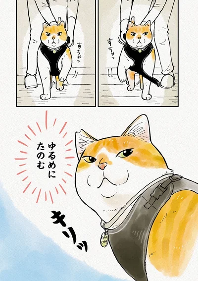 ゆるめにたのむ
