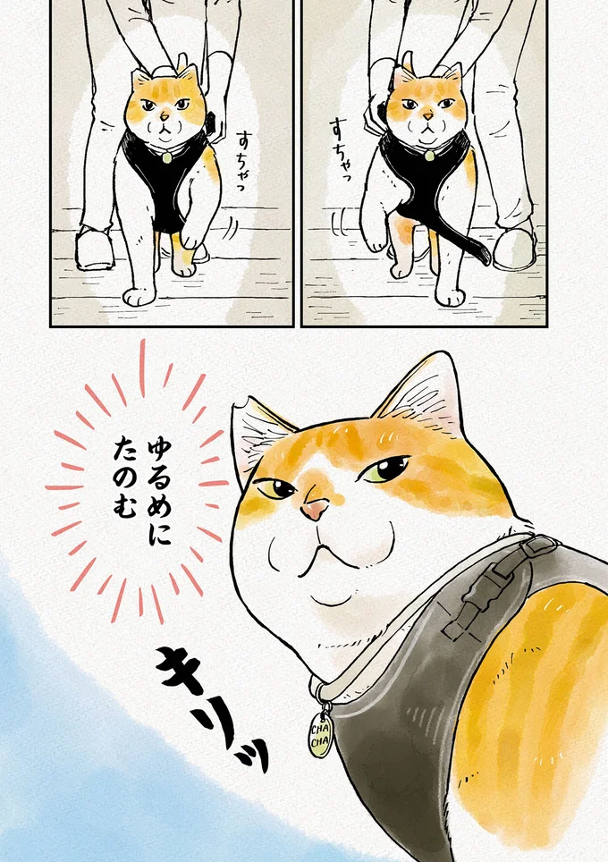 ゆるめにたのむ