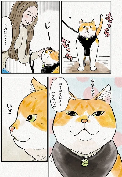 ゆる…め？