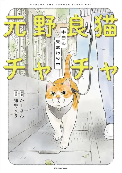 『元野良猫チャチャ　本日も見まわり中』