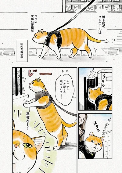 『元野良猫チャチャ　本日も見まわり中』より