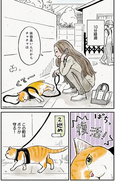 『元野良猫チャチャ　本日も見まわり中』より