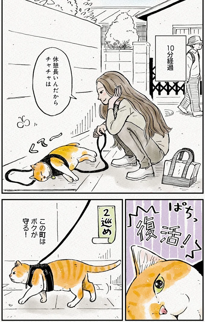 『元野良猫チャチャ　本日も見まわり中』より