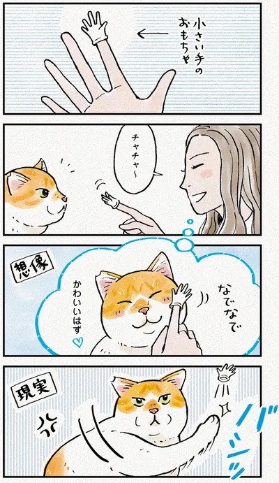 『元野良猫チャチャ　本日も見まわり中』より