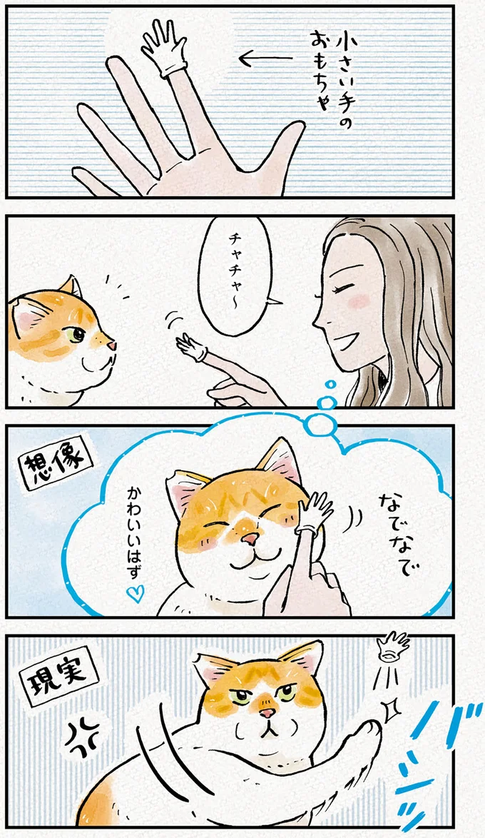 『元野良猫チャチャ　本日も見まわり中』より