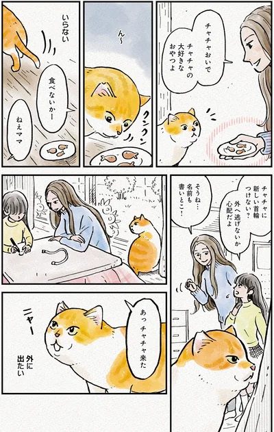 『元野良猫チャチャ　本日も見まわり中』より