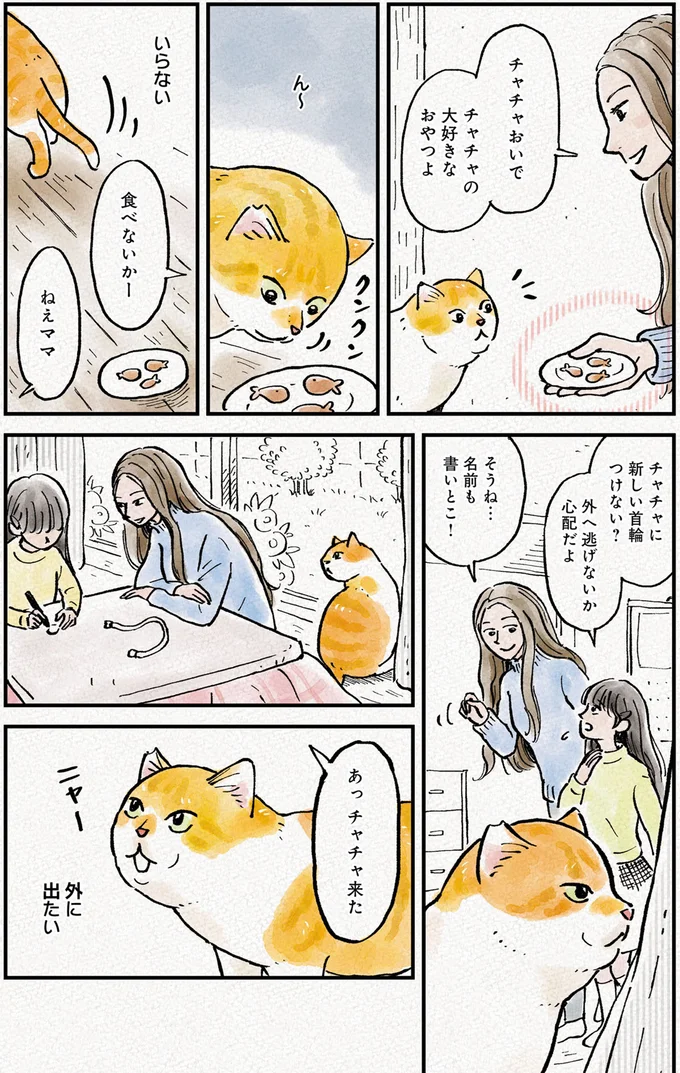 『元野良猫チャチャ　本日も見まわり中』より