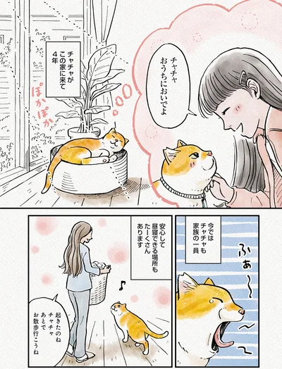 『元野良猫チャチャ　本日も見まわり中』より