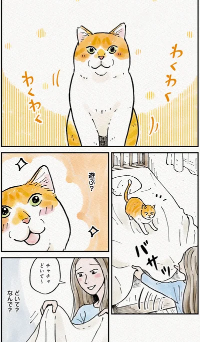 『元野良猫チャチャ　本日も見まわり中』より
