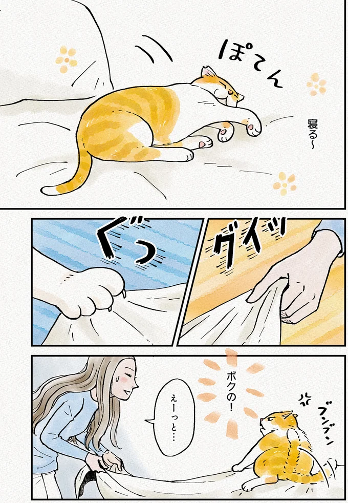 『元野良猫チャチャ　本日も見まわり中』より