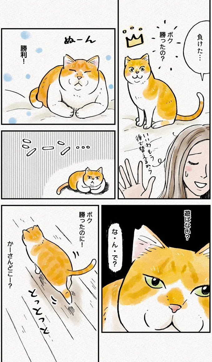 『元野良猫チャチャ　本日も見まわり中』より