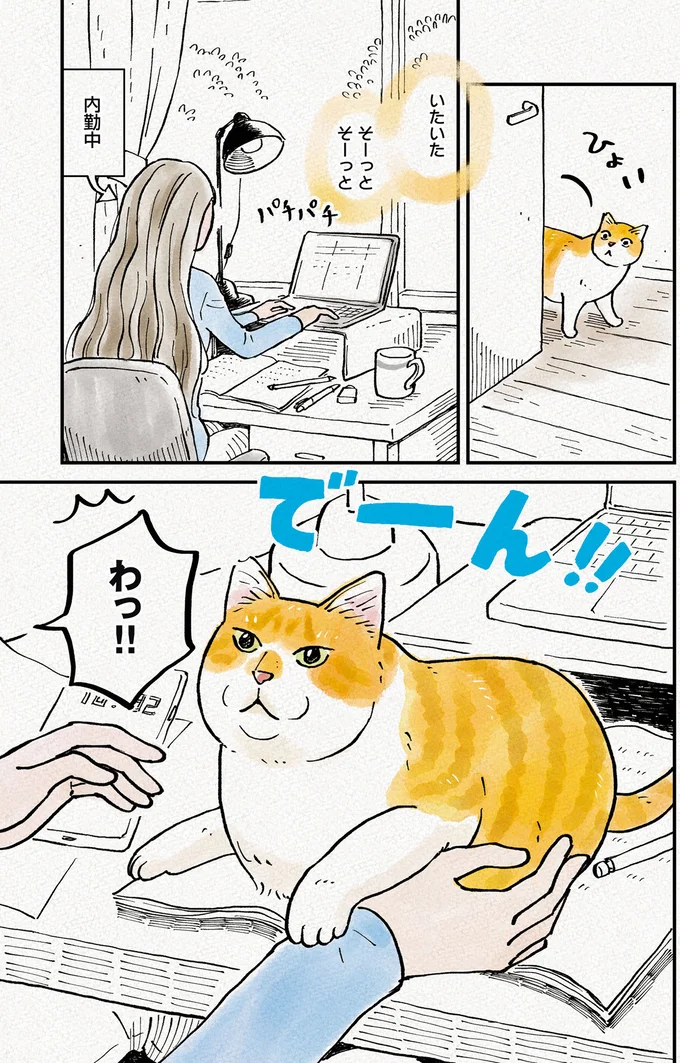 『元野良猫チャチャ　本日も見まわり中』より