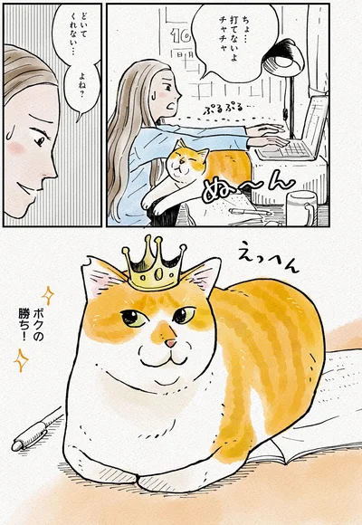 『元野良猫チャチャ　本日も見まわり中』より