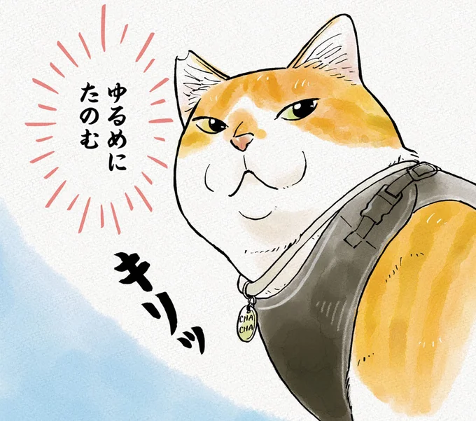 ゆるめにたのむ
