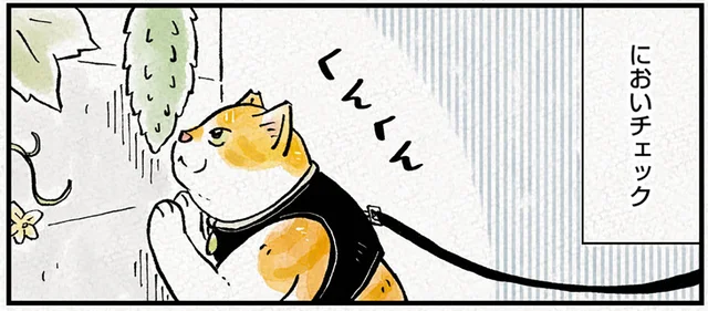 においも形も気になりすぎる！お散歩中の猫が夢中になったもの