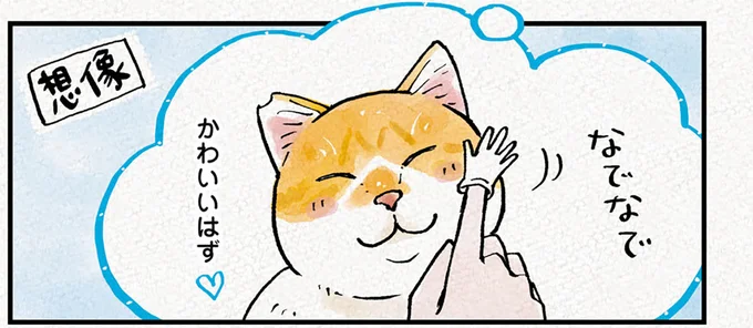 かわいいはず