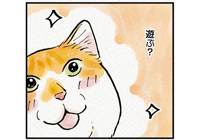 遊ぶ？
