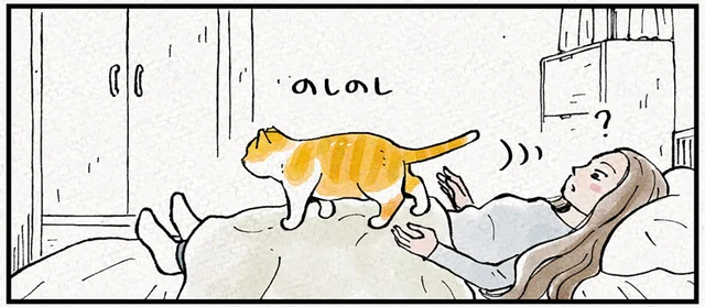 相思相愛のお母さんでも譲れない？甘えん坊猫のお昼寝場所／元野良猫チャチャ　本日も見まわり中（8）