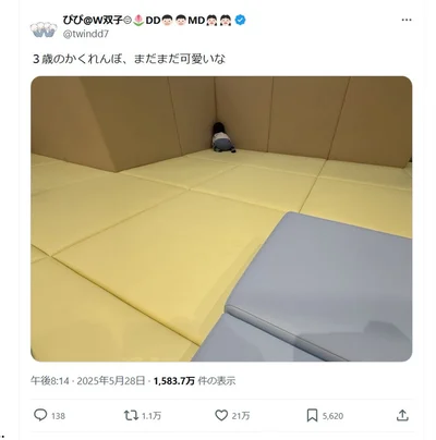 すべてが見えている味わい深いかくれんぼ▶3歳の双子ちゃん同士でかくれんぼをすると…（⇒次へ）