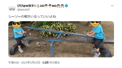 シーソーの相方がいる▶仲良しでとっても素敵な双子ちゃん（⇒次へ）